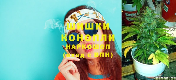 амф Пестово