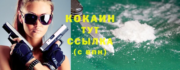 ешки Пересвет