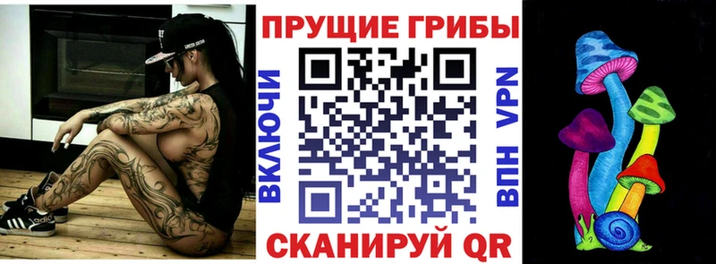 купить наркотики сайты  Искитим  Псилоцибиновые грибы ЛСД 